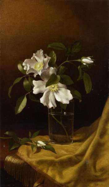 Cherokee Roses In A Glass On Gold Velvet Plush by Martin Johnson Heade