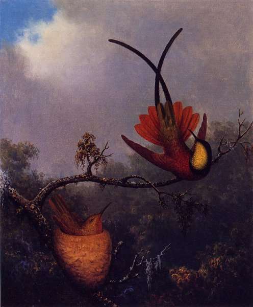 Crimson Topaz by Martin Johnson Heade
