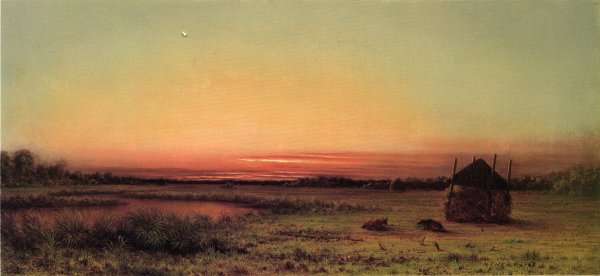 Marsh Scene Two Cattle In A Field by Martin Johnson Heade