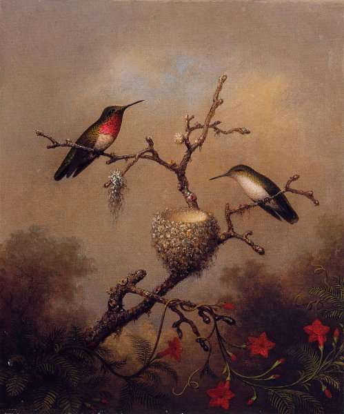 Ruby Throated Hummingbird by Martin Johnson Heade