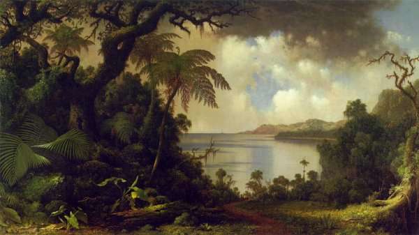 View From Fern Tree Walk  Jamaica by Martin Johnson Heade