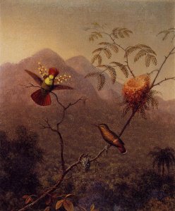 Tropical Landscape With Ten Hummingbirds