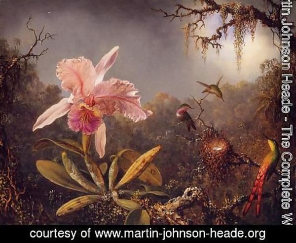 Martin Johnson Heade - Cattelya Orchid and Three Brazilian Hummingbirds
