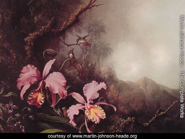Two Orchids in a Mountain Landscape