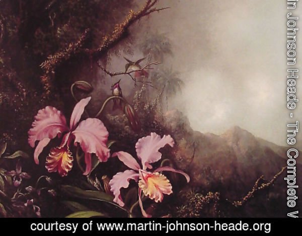Martin Johnson Heade - Two Orchids in a Mountain Landscape