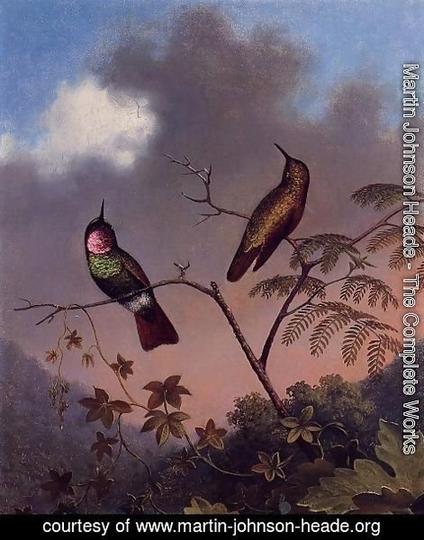 Martin Johnson Heade - Brazilian Ruby Hummingbirds