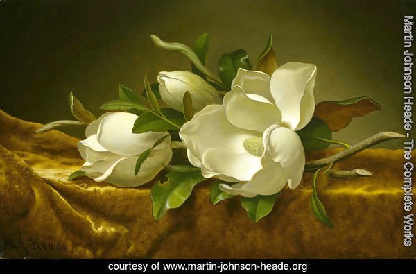 Magnolias on Gold Velvet Cloth 1888