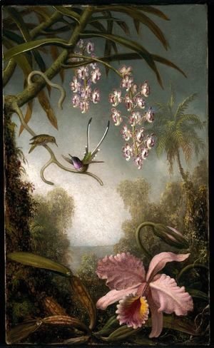 Martin Johnson Heade - Orchids and Spray Orchids with Hummingbird
