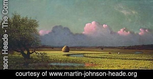 Martin Johnson Heade - Sunlight and Shadow The Newbury Marshes