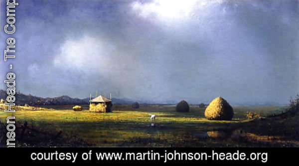 Martin Johnson Heade - A Cloudy Day
