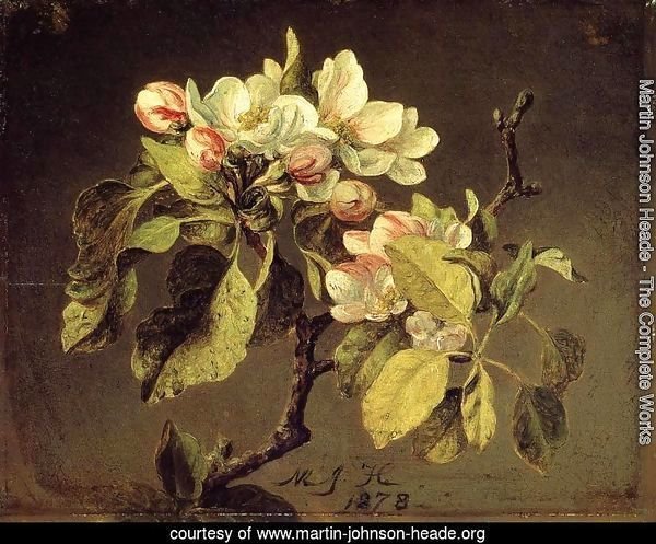 A Branch Of Apple Blossoms And Buds