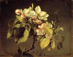 Martin Johnson Heade - A Branch Of Apple Blossoms And Buds
