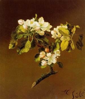 Martin Johnson Heade - A Spray Of Apple Blossoms