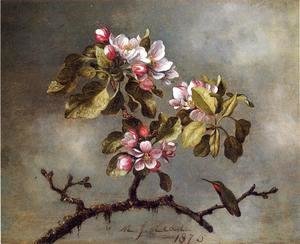 Apple Blossoms And Hummingbird2