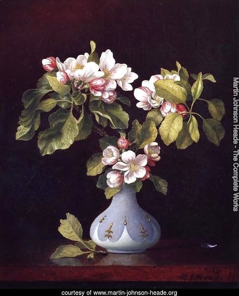 Apple Blossoms In A Vase