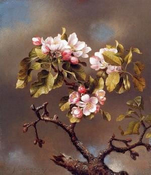 Martin Johnson Heade - Branch Of Apple Blossoms Against A Cloudy Sky
