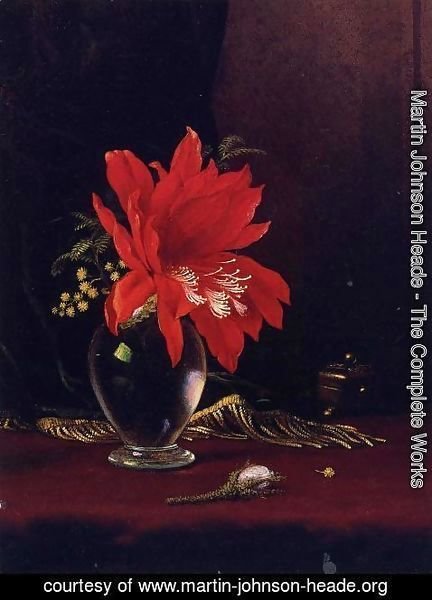 Martin Johnson Heade - Chateau Of Flower