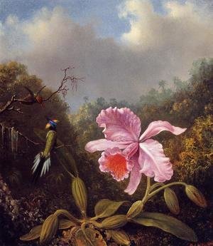 Fighting Hummingbirds With Pink Orchid