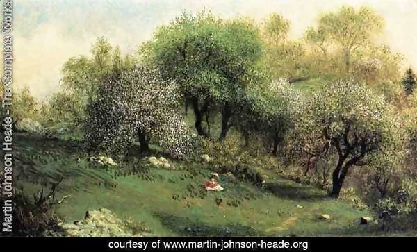 Girl On A Hillside  Apple Blossoms