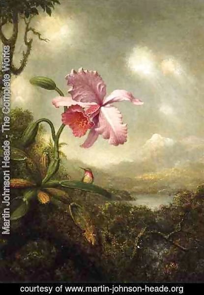 Martin Johnson Heade - Hummingbird And Orchid Sun Breaking Through The Clouds