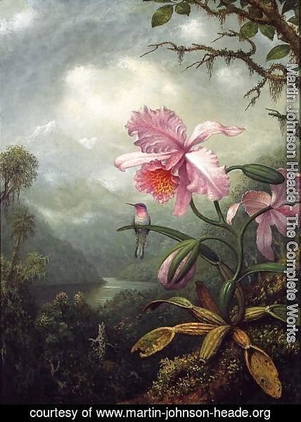 Martin Johnson Heade - Hummingbird Perched On An Orchid Plant