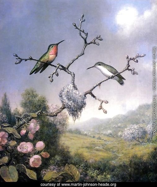 Hummingbirds And Apple Blossoms
