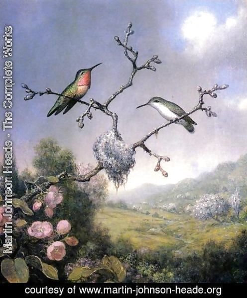 Martin Johnson Heade - Hummingbirds And Apple Blossoms