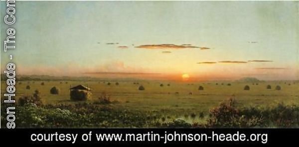 Martin Johnson Heade - Ipswich Marshes