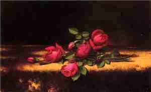 Jaqueminot Roses