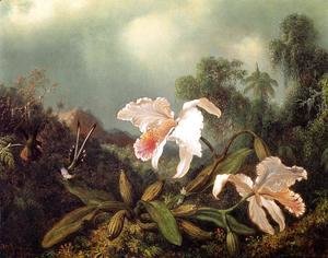 Martin Johnson Heade - Jungle Orchids And Hummingbirds