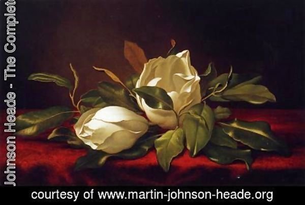 Martin Johnson Heade - Magnoliae Grandeflorae
