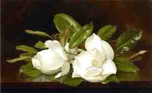 Martin Johnson Heade - Magnolias On A Wooden Table
