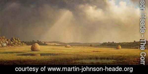 Martin Johnson Heade - Newburyport Meadows