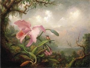 Martin Johnson Heade - Orchid And Hummingbird