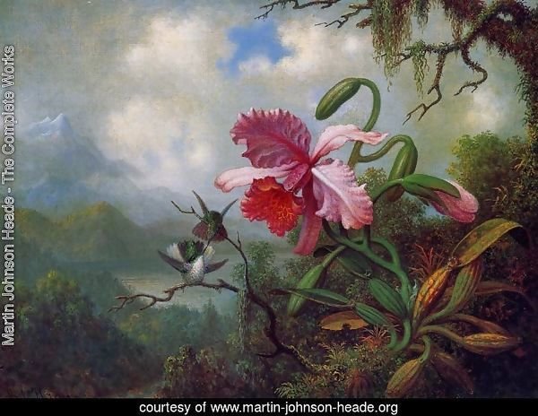 Orchid And Hummingbirds Near A Mountain Lake