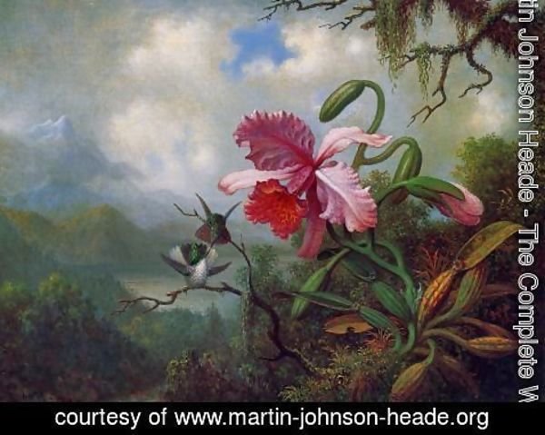 Martin Johnson Heade - Orchid And Hummingbirds Near A Mountain Lake
