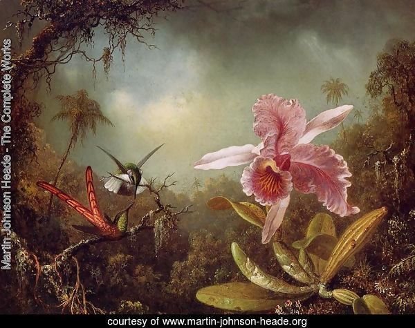 Orchid With Two Hummingbirds