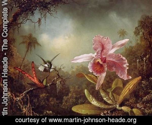 Martin Johnson Heade - Orchid With Two Hummingbirds