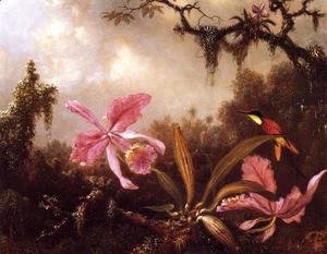 Martin Johnson Heade - Orchids And Crimson Topaz Hummingbird