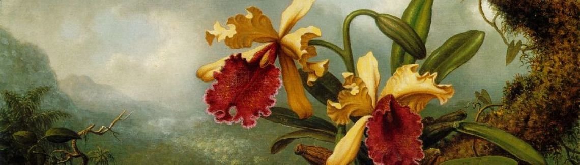 Martin Johnson Heade - Orchids And Hummingbird
