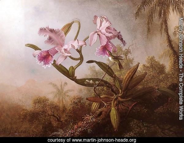 Orchids And Hummingbird2