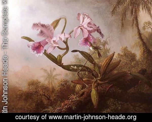 Martin Johnson Heade - Orchids And Hummingbird2