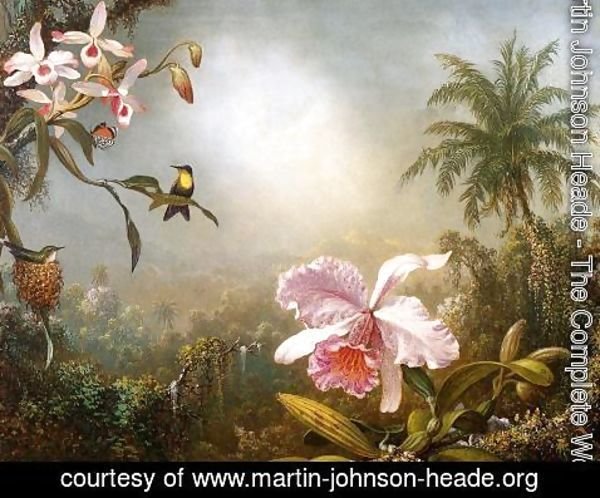 Martin Johnson Heade - Orchids  Nesting Hummingbirds And A Butterfly