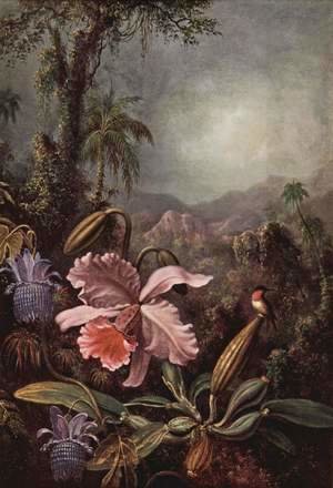 Martin Johnson Heade - Orchids  Passion Flowers And Hummingbird
