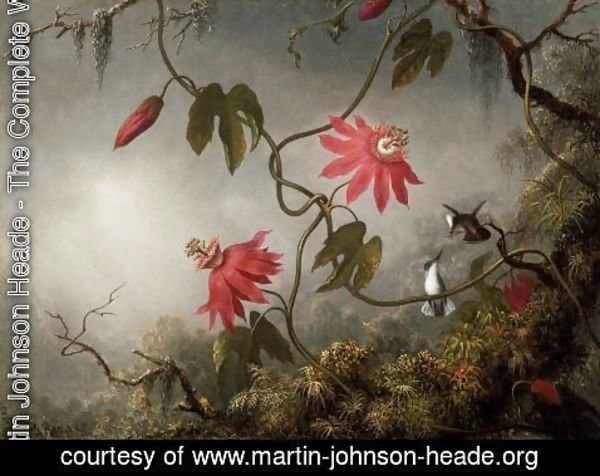 Martin Johnson Heade - Passion Flowers And Hummingbirds
