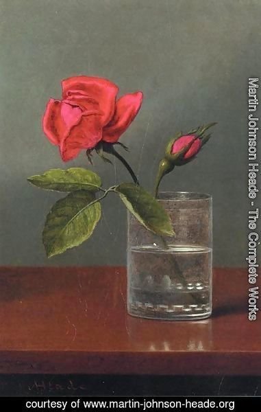 Martin Johnson Heade - Red Rose And Bud In A Tumbler On A Shiny Table