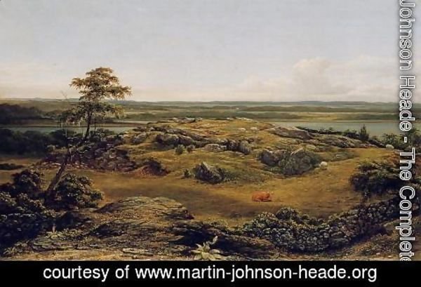 Martin Johnson Heade - Rocks In New England