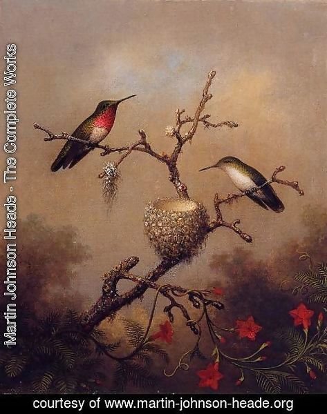 Martin Johnson Heade - Ruby Throated Hummingbird
