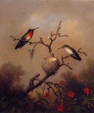 Martin Johnson Heade - Ruby Throated Hummingbird