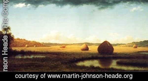 Martin Johnson Heade - Summer Showers